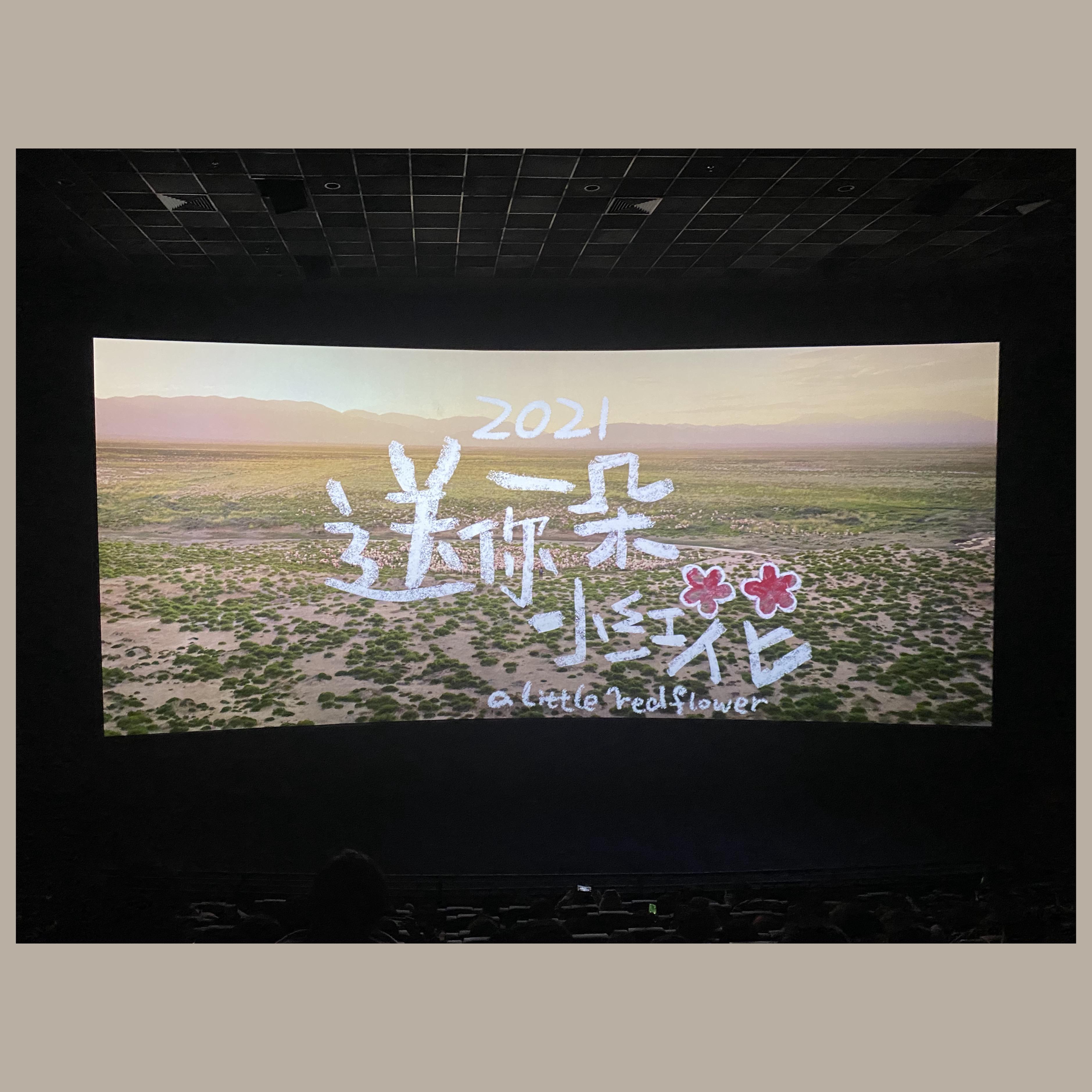 张一歌曲封面