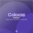 Are You Gone / Visions