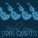 Violin from String Quartets专辑