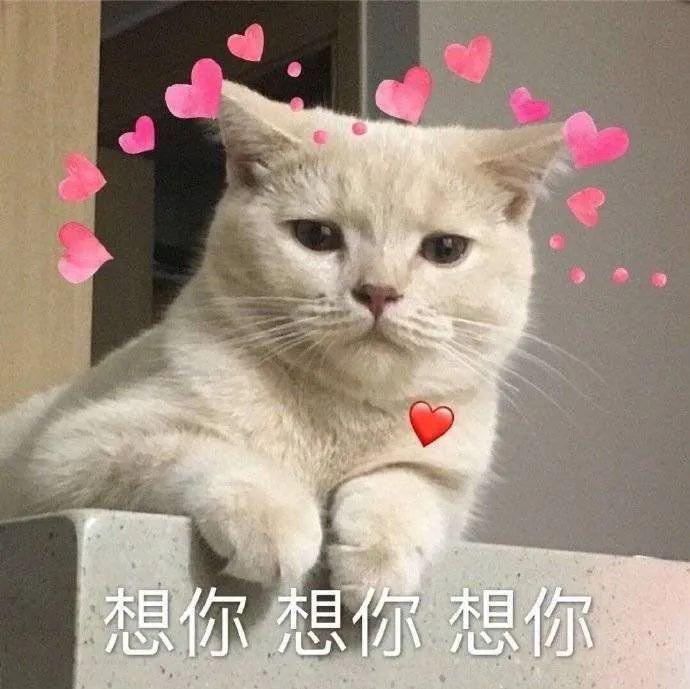 “闲人怎么知道忙人多想闲人.”