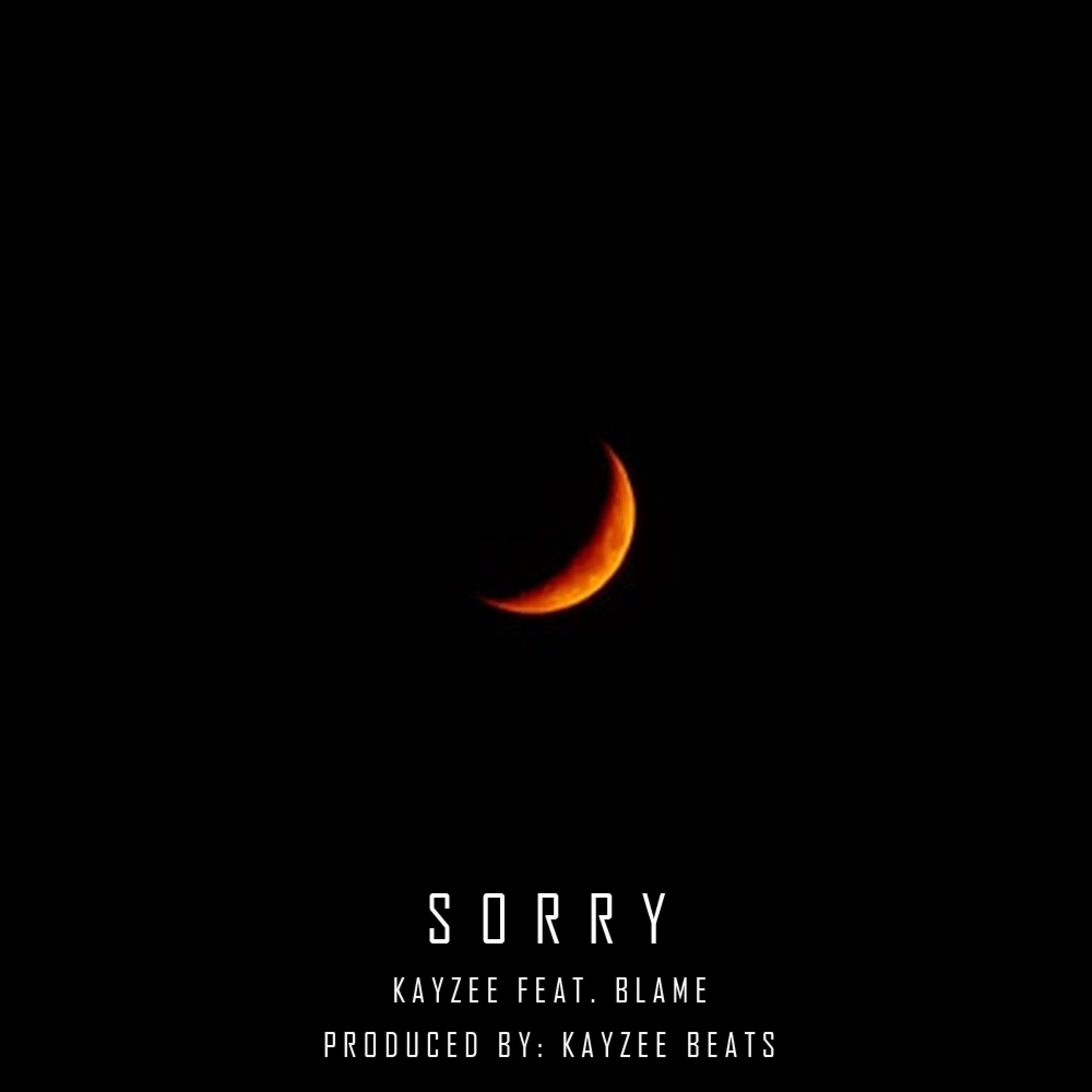 Sorry (feat. Blame)