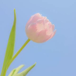 “夏天 高饱和度 落日 晚风 汽水 我们”