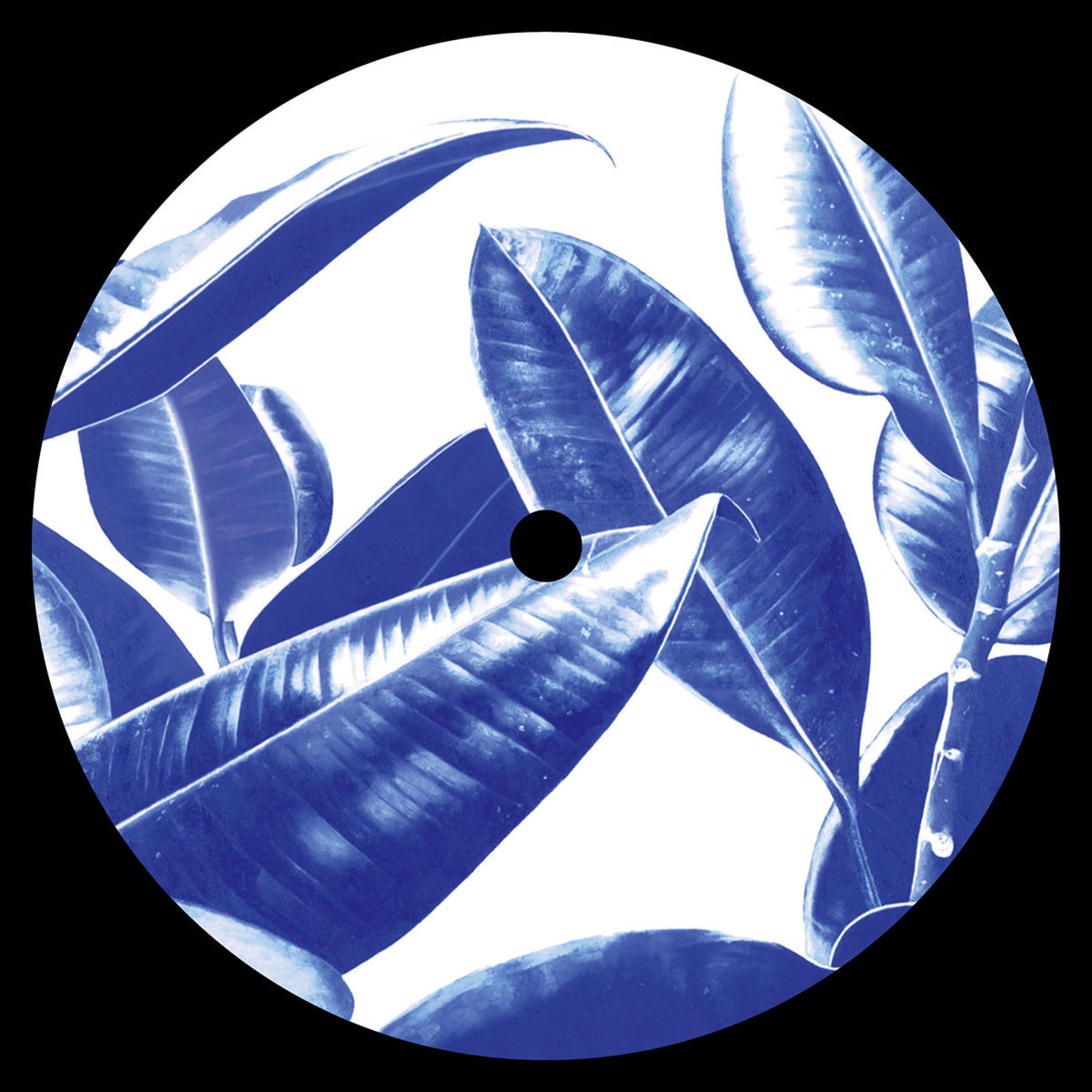 Spring Theory Reworks