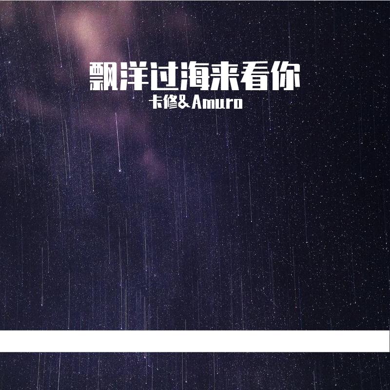 漂洋过海来看你