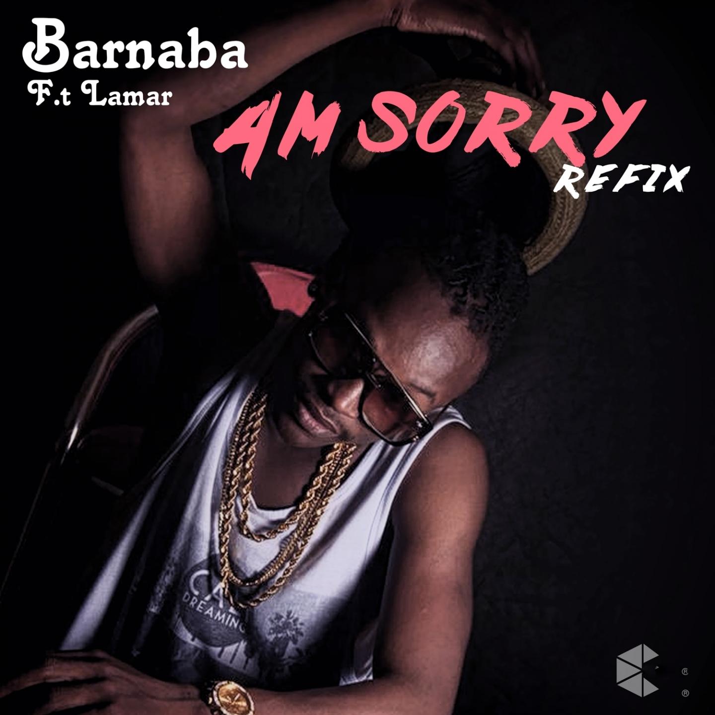 am sorry (the refix) - barnaba/lamar - 单曲 - 网易云音乐