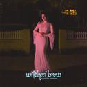witches' brew (haunted version)专辑