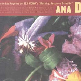 Live in Los Angeles on 89.9 KCRW's Morning Becomes Eclectic