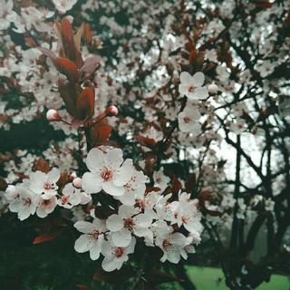 孤单与治愈，都是你