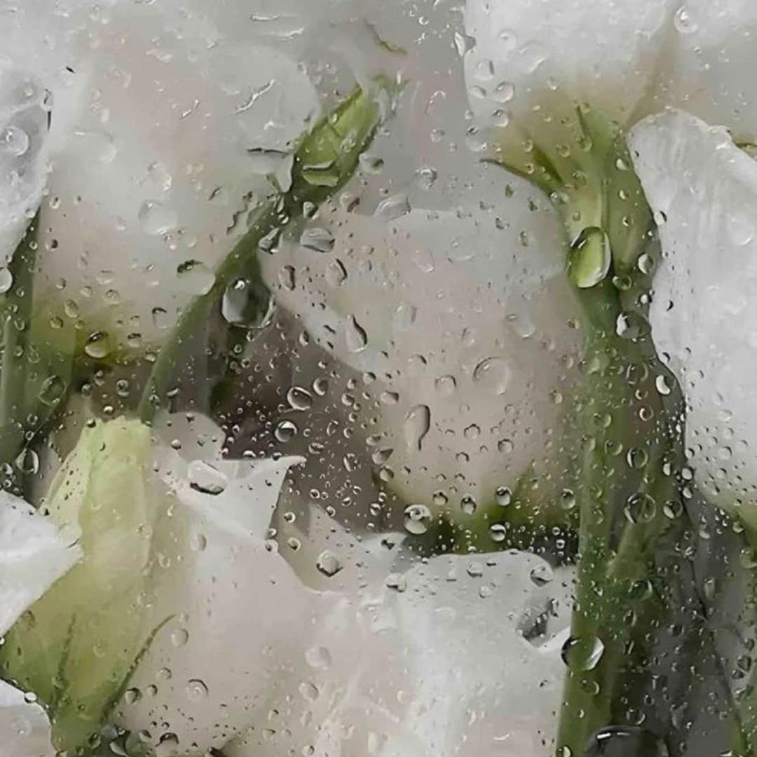 pure imagination （Absolute Music 0.8X）