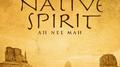 Native Spirit: A Native American Music Experience专辑