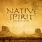 Native Spirit: A Native American Music Experience专辑