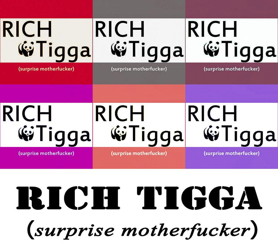 RICH TIGGA（surprise motherf**ker)专辑