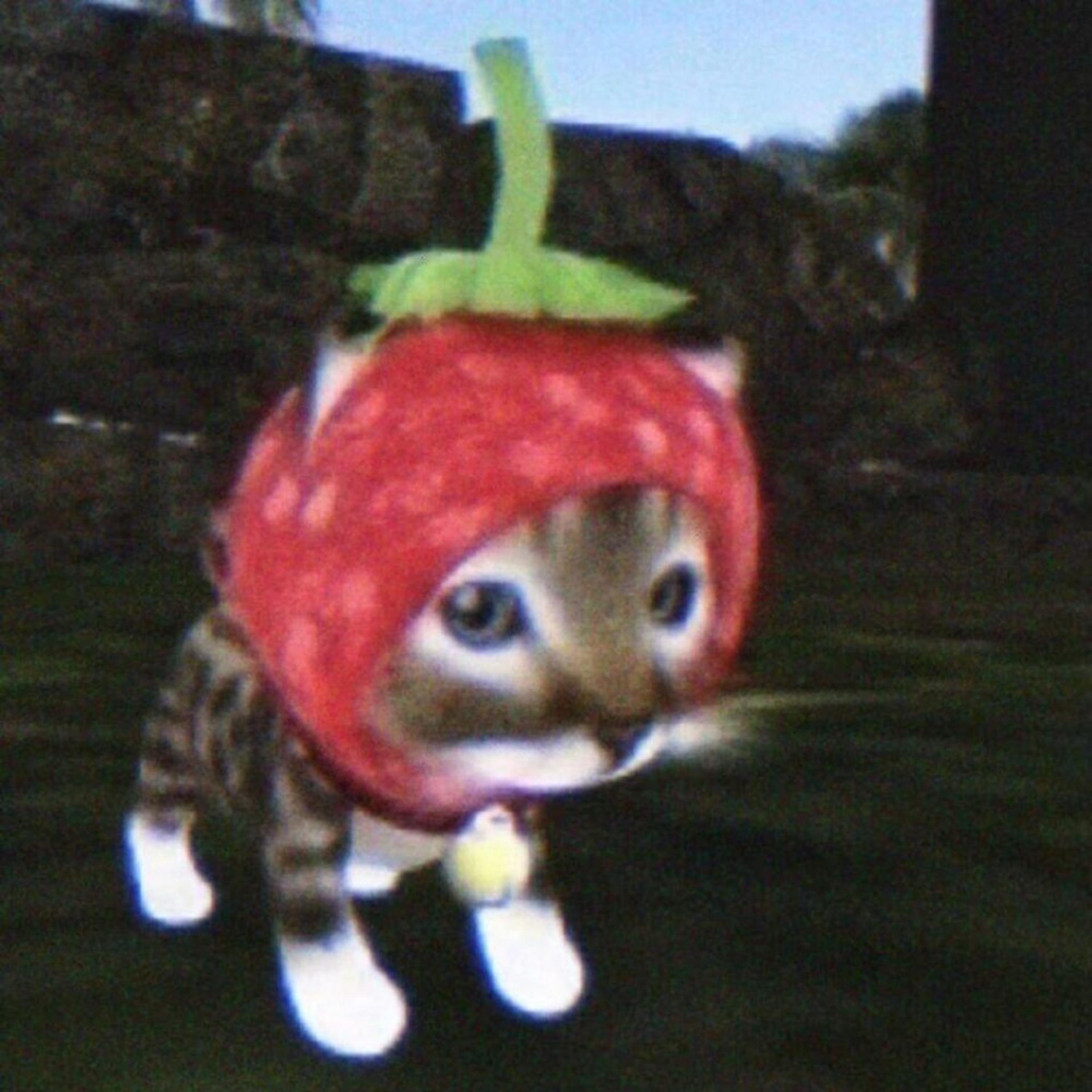 打火机（哈基米）