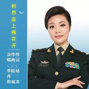 相思崖上槐花开