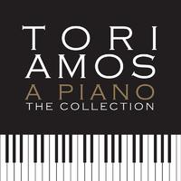 Mr Zebra - Tori Amos