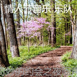 情人节之夜    伴奏