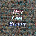 Hey I Am Sleepy