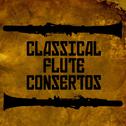 Classical Flute Concertos专辑