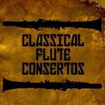 Classical Flute Concertos专辑