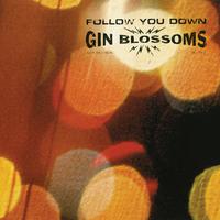 Follow You Down - Gin Blossoms (karaoke)