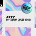 Hope (Brina Knauss Remix)专辑