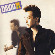 DAVID 黄