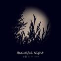 Beautiful Night专辑