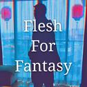 Flesh For Fantasy专辑