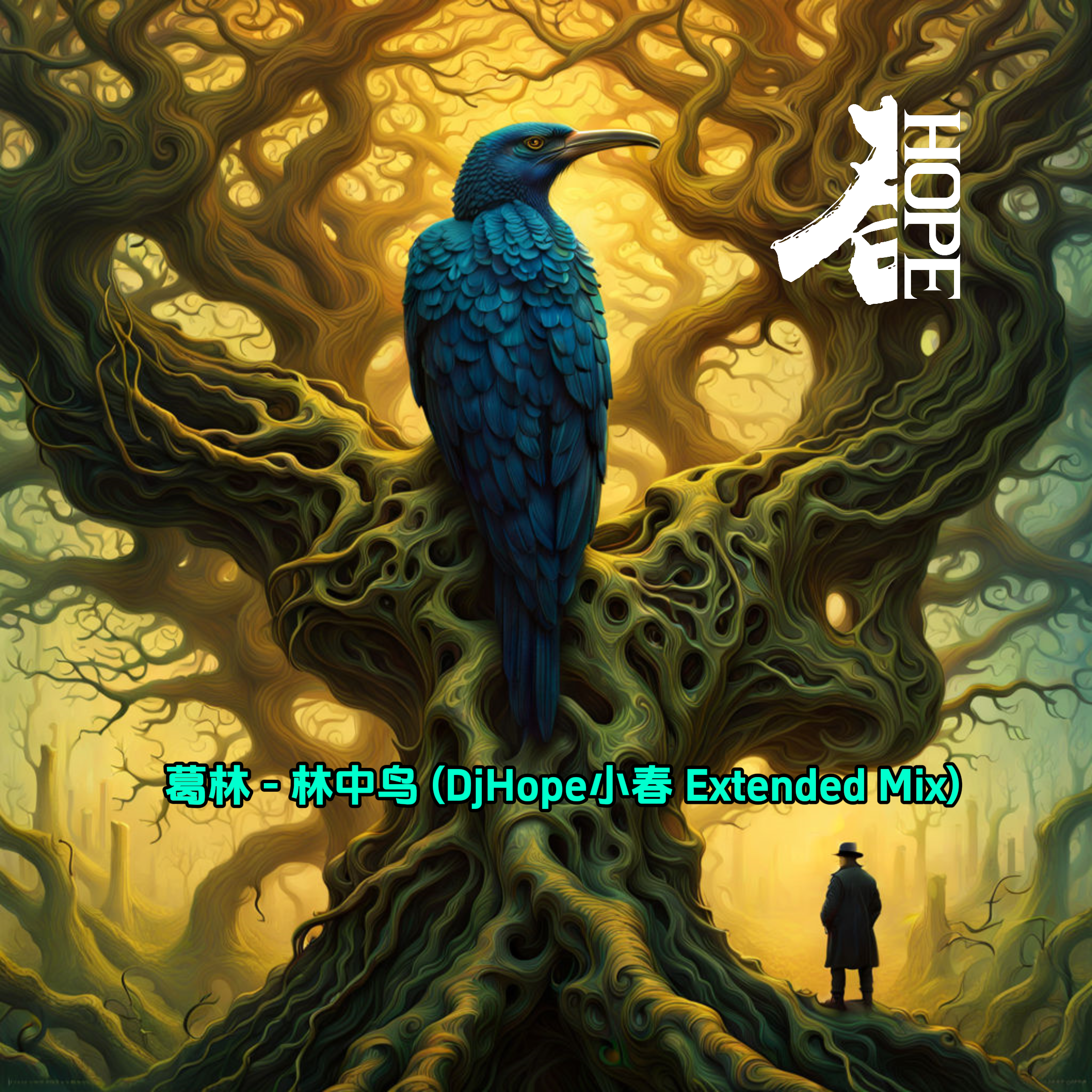 葛林 - 林中鸟 (DjHope小春 Extended Mix)