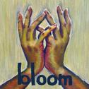 bloom -Anime size-专辑