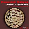 Kameelah Waheed - America the Beautiful (North Street West Vocal Remix)