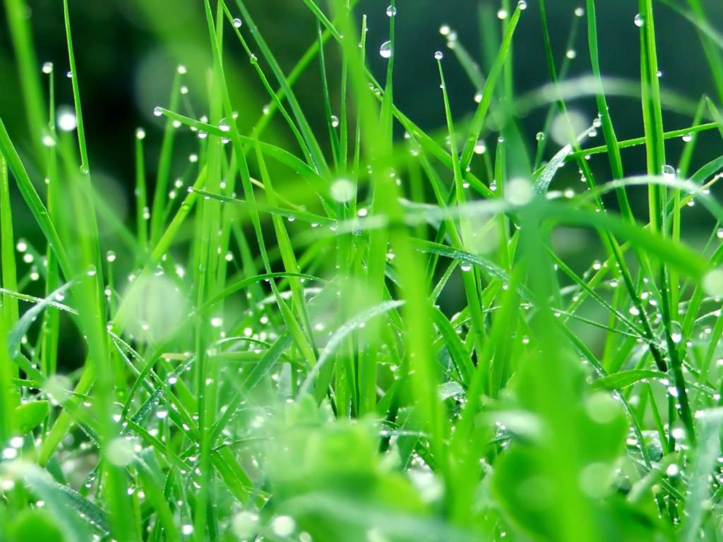 雨中的山谷里也有彩虹专辑