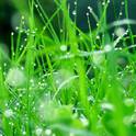 雨中的山谷里也有彩虹专辑