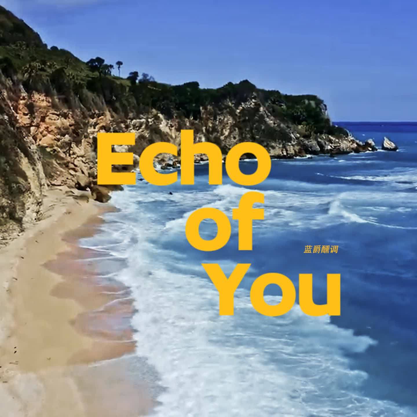 Echo of You专辑