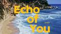 Echo of You专辑
