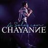 Chayanne - Amorcito Corazon