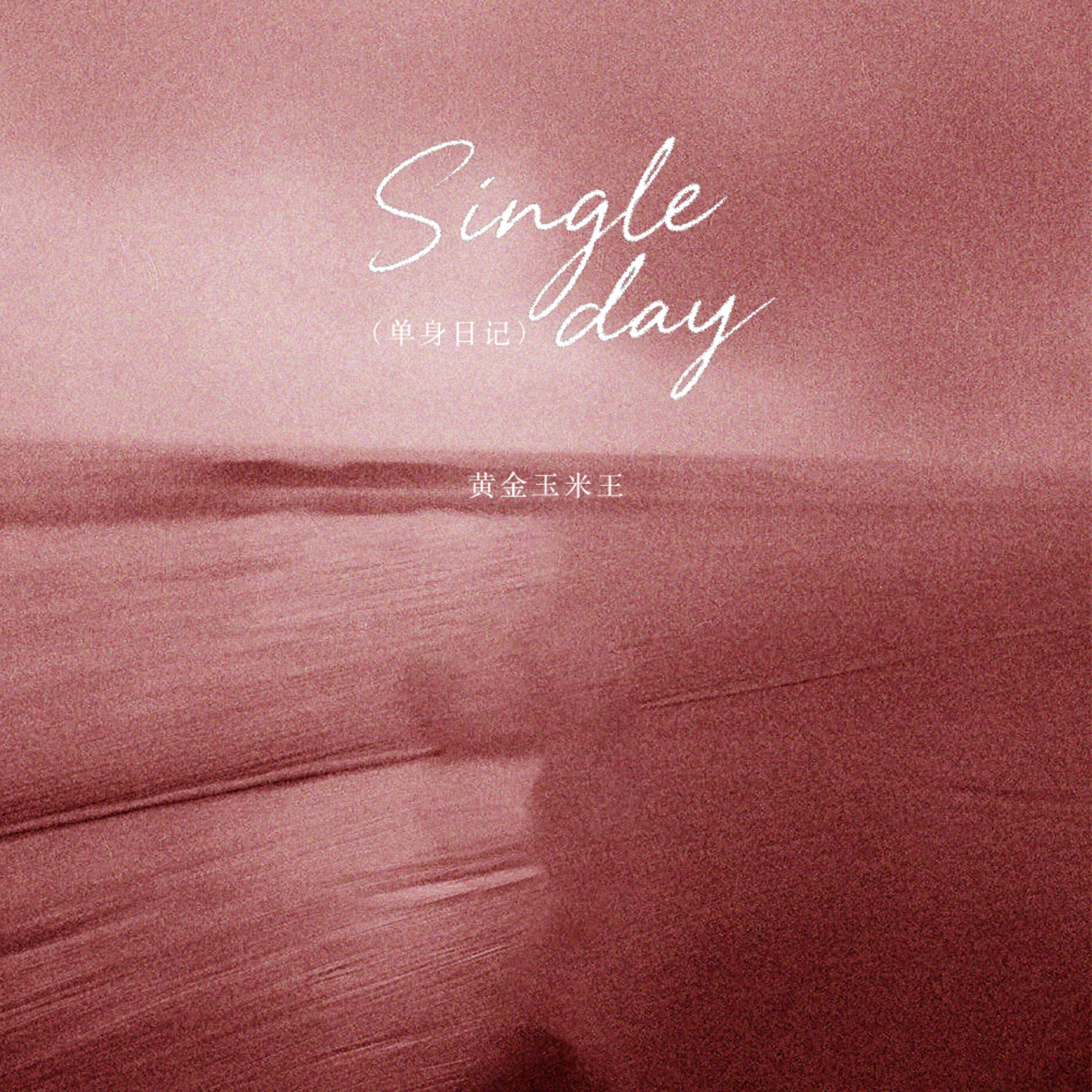 Single Day（单身日记）