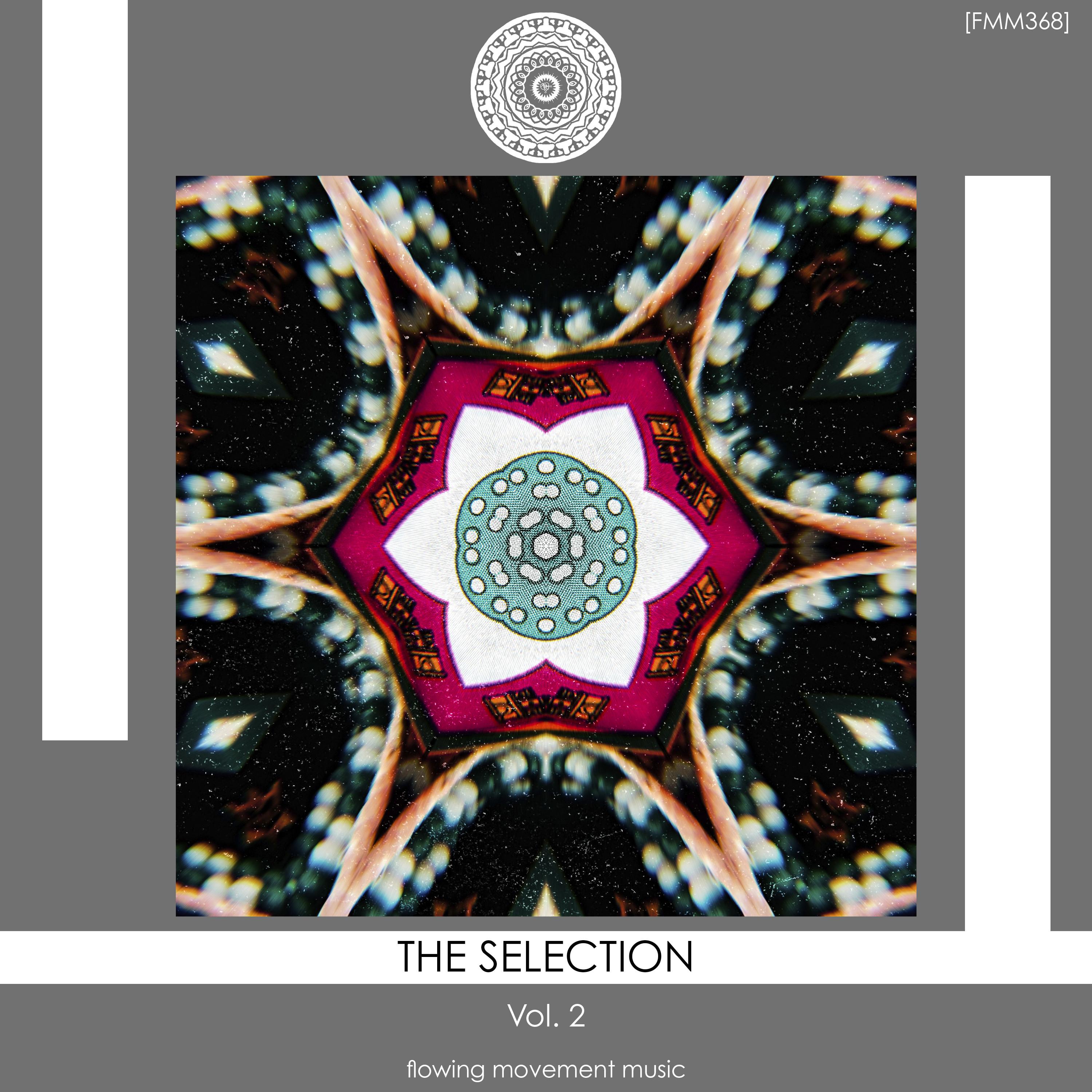 The Selection, Vol. 2