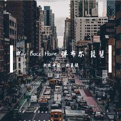 Way Back Home 弹布尔.琵琶版