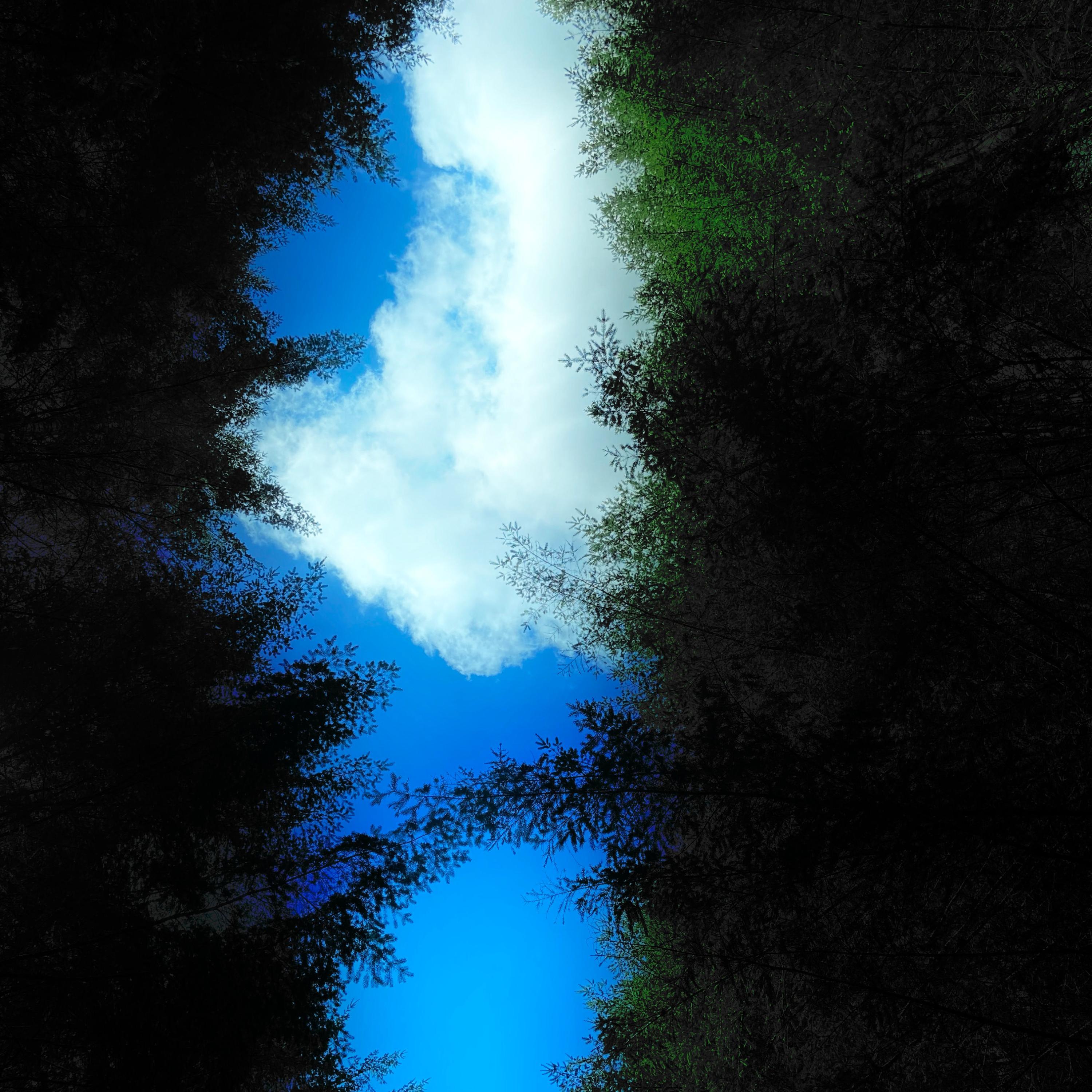 Hollowing