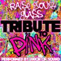 Raise Your Glass: Tribute to Pink