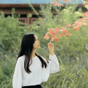 杨烁 - 很多年以后 (精消 带伴唱)伴奏