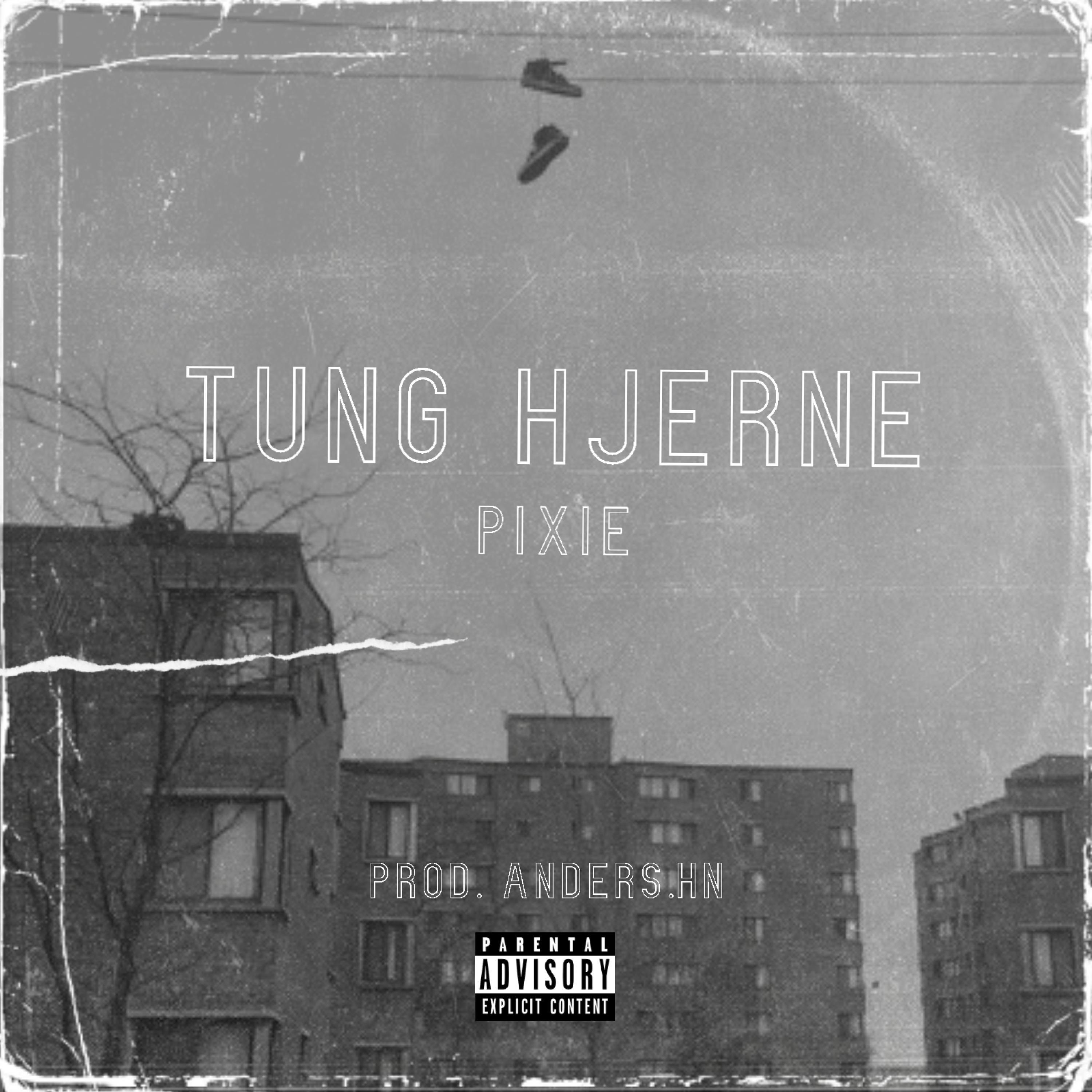 Tung Hjerne