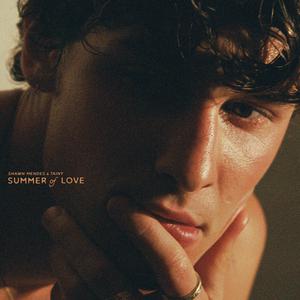 Shawn Mendes & Tainy - Summer of Love (VS karaoke) 带和声伴奏 （降7半音）