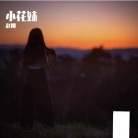 阎琰 - 小花妹