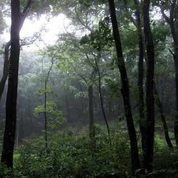 助睡眠：纯雷雨声、水声（无杂音）