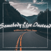 Somebody Else Instead(WildStarry＆Mairc remix）