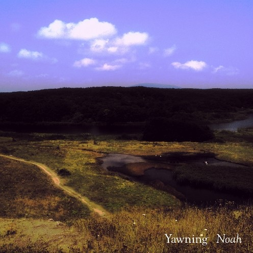 Noah