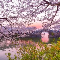 何龙雨-梦幻之旅 伴奏 无人声 伴奏 更新AI版