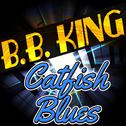 Catfish Blues专辑